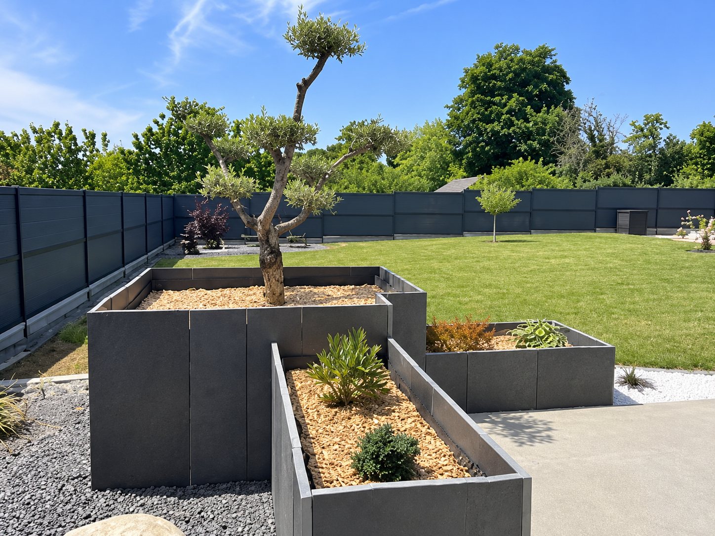 Jardin contemporain avec de grandes jardinières en métal gris plantées d'un olivier et d'arbustes, entourées de gravier, de pelouse et d'une clôture sombre.