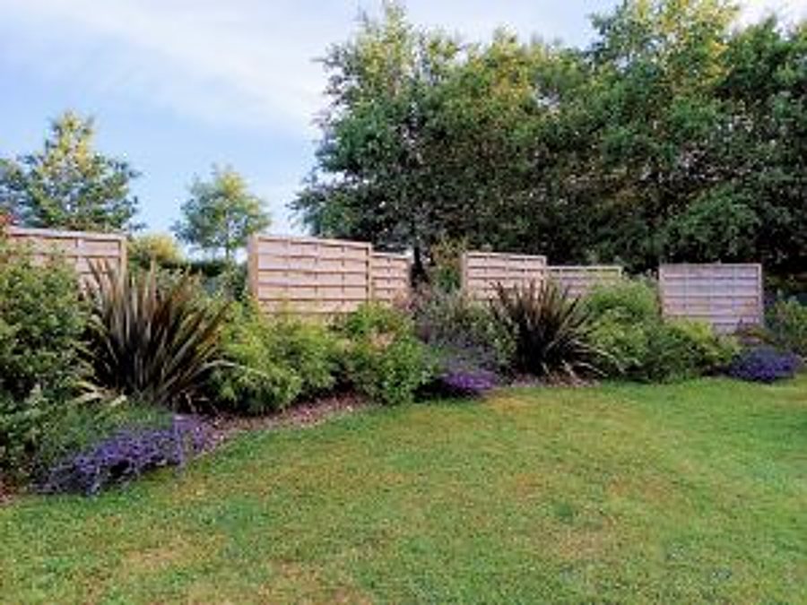 Un jardin paysager aux massifs de lavande et de graminées, bordé de panneaux de clôture en bois clair et d'arbres, avec une pelouse verte au premier plan.